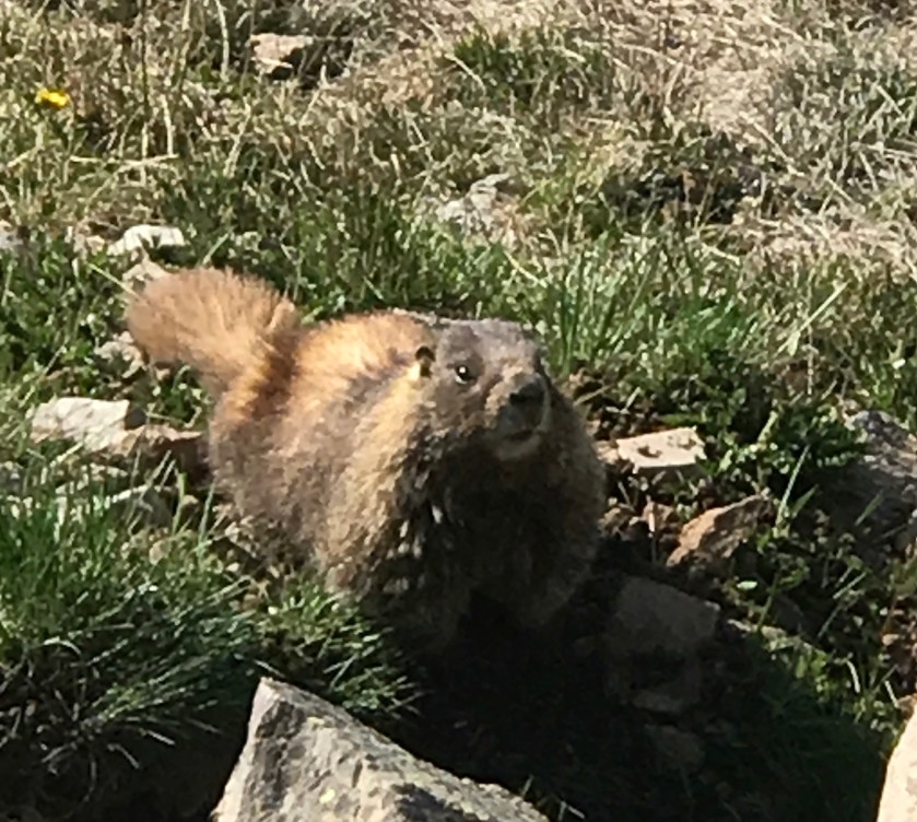 0C161841-B70E-4427-B891-1FDDB5ECB517