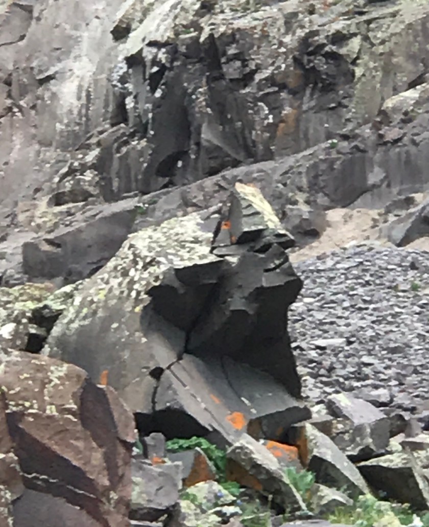 1F72F390-ECD3-4B66-AC33-5A726CCA019D