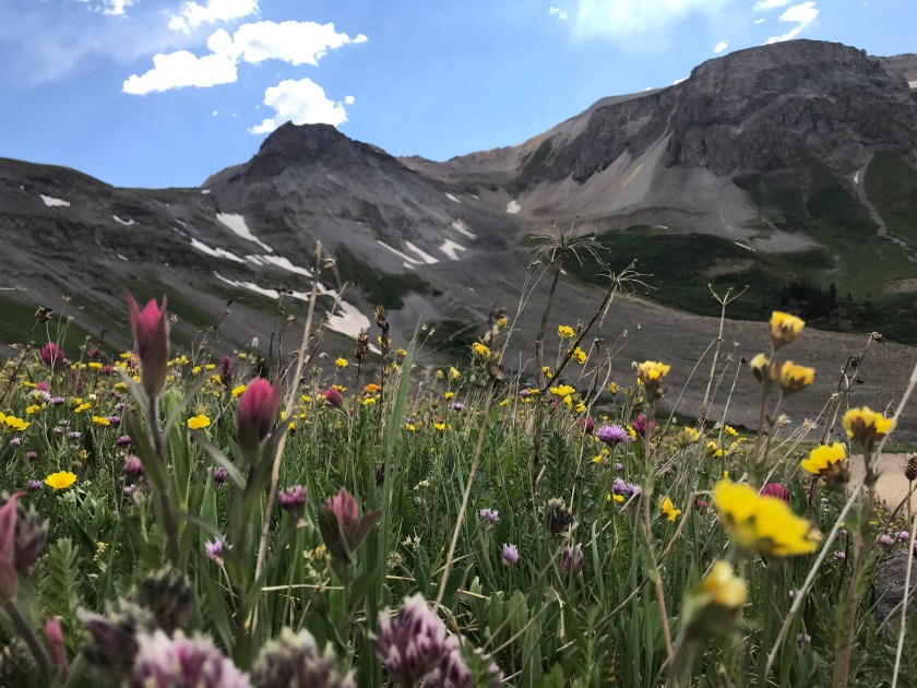 42D0EBFC-2C31-473B-95AF-1F771420EAA9