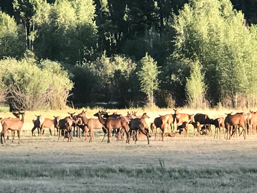 49C5418E-8476-48EC-86B1-046D604E0A2F