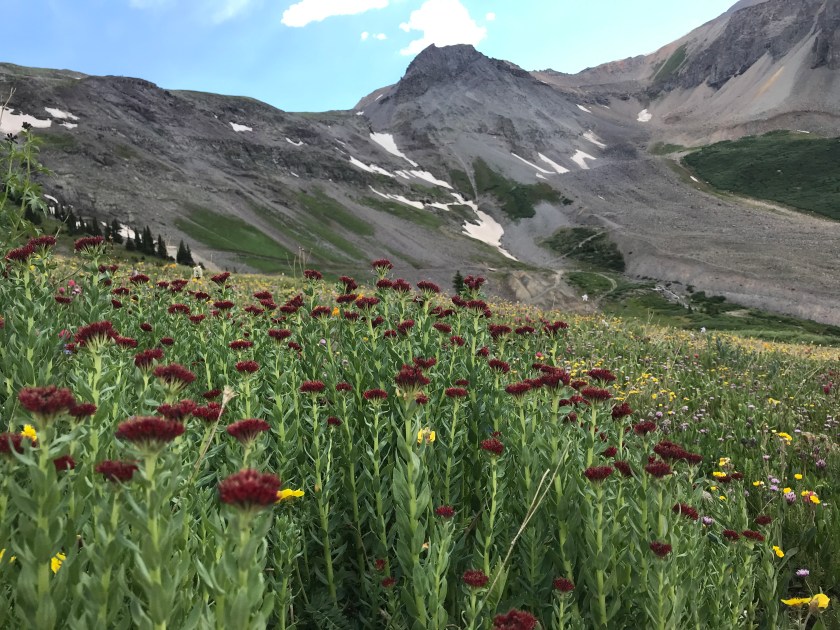 6235573C-7157-4B02-8020-B25B68509EF2