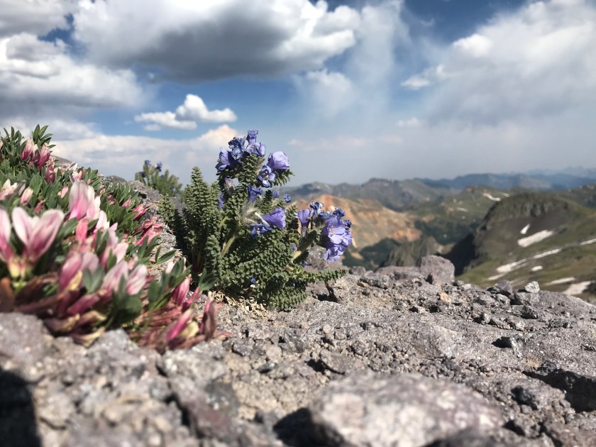 652AC9AA-1617-4477-AF66-13B59DF6ECB9