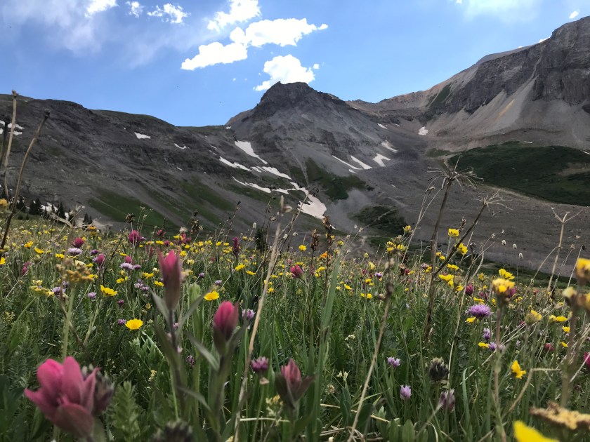 7F1F4AC4-E154-4D95-832A-C666F4C67578