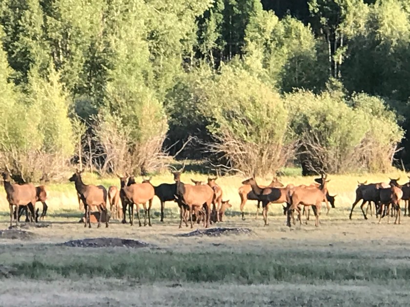 8050B021-ABAB-487B-88DA-69DF98DA1A13