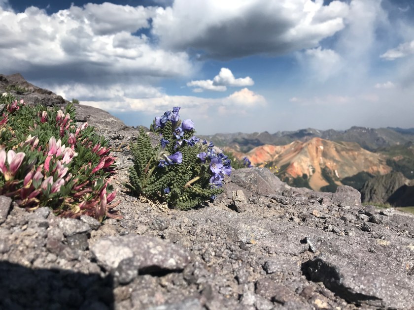 86C4B01B-2F23-460E-B0E2-205017CD206F