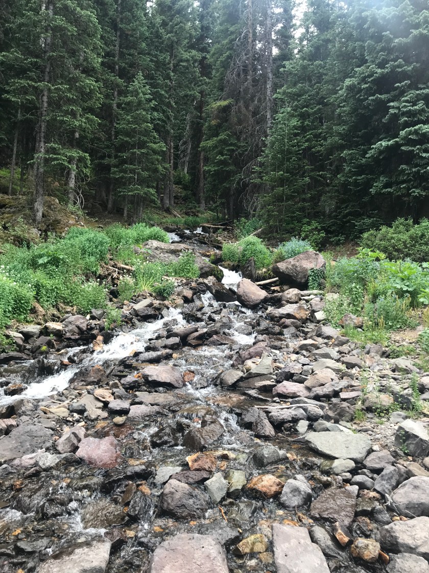 87B1DF97-4D28-4614-B534-D3128A77D007