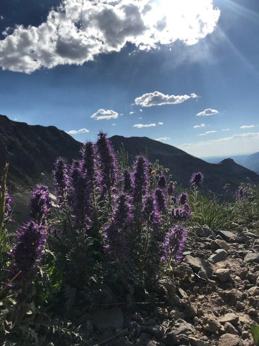 A49ADE64-6CCA-40FC-A775-10C574DD2FC9