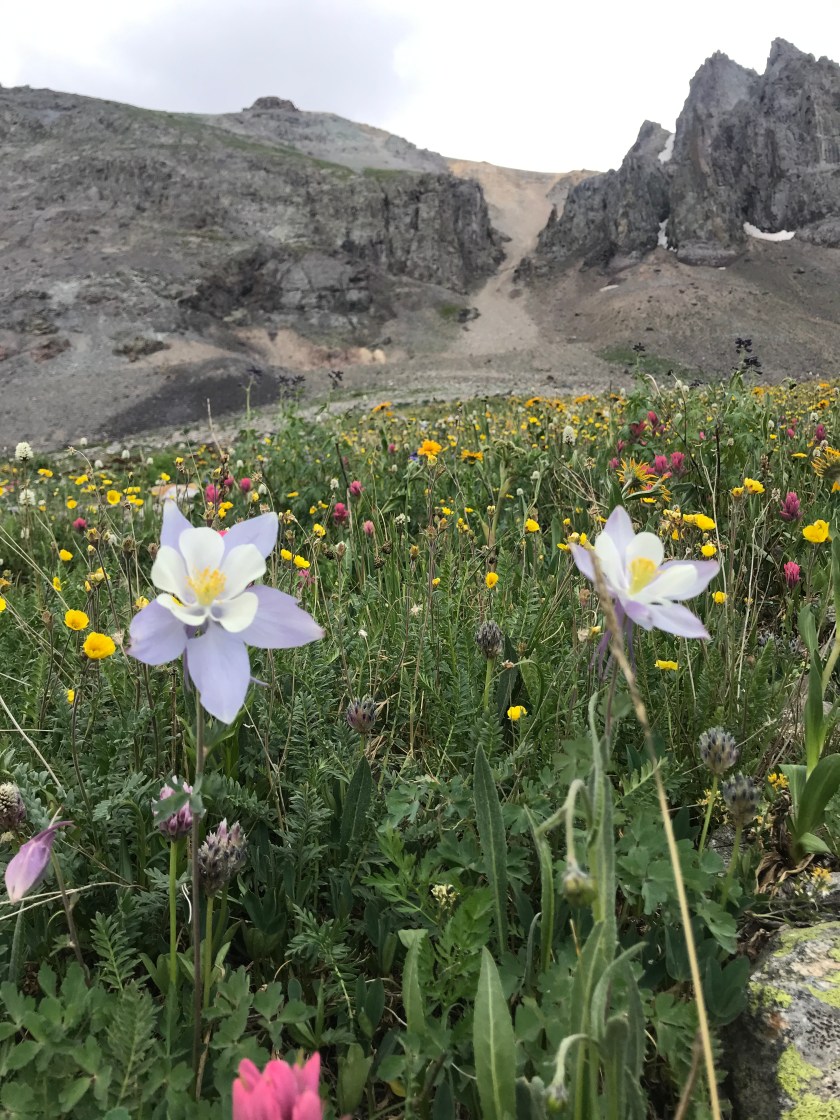 D8D48629-F27C-4C86-ADF2-B6131A54484B