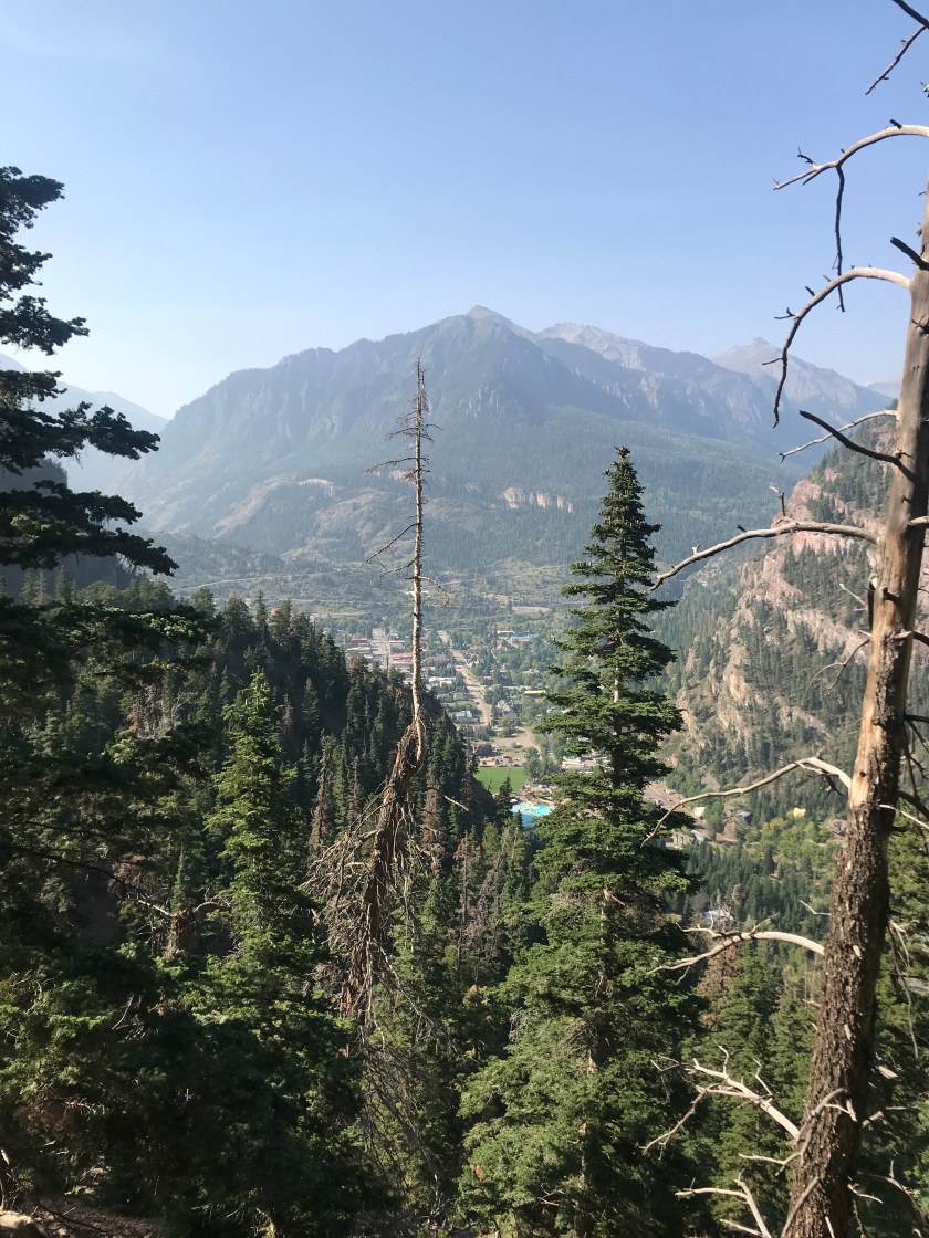 013D9031-CF10-428E-85C5-219F15BA8AD4