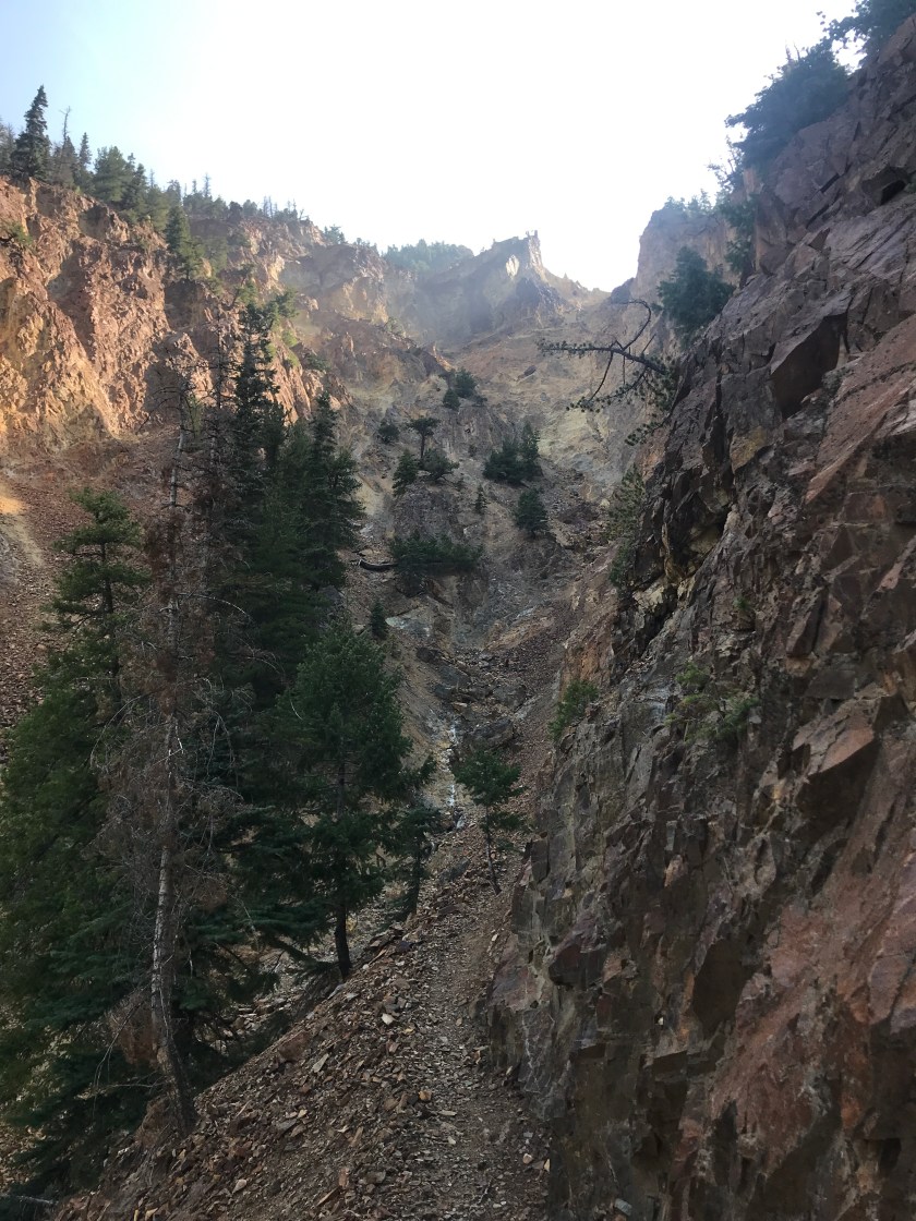 03F1572B-D491-4036-B96A-34A6B2DBBEAE