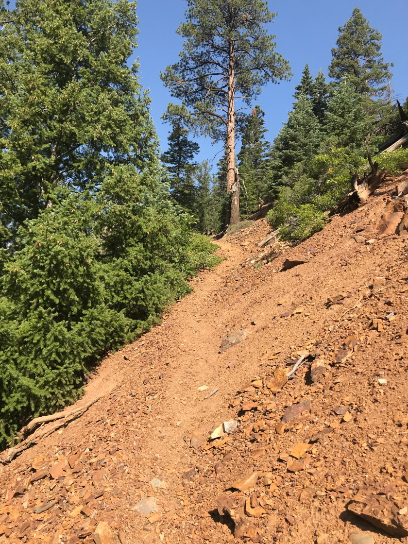 089E0A1E-1F7D-4541-8A9C-DA7516CB5ED1