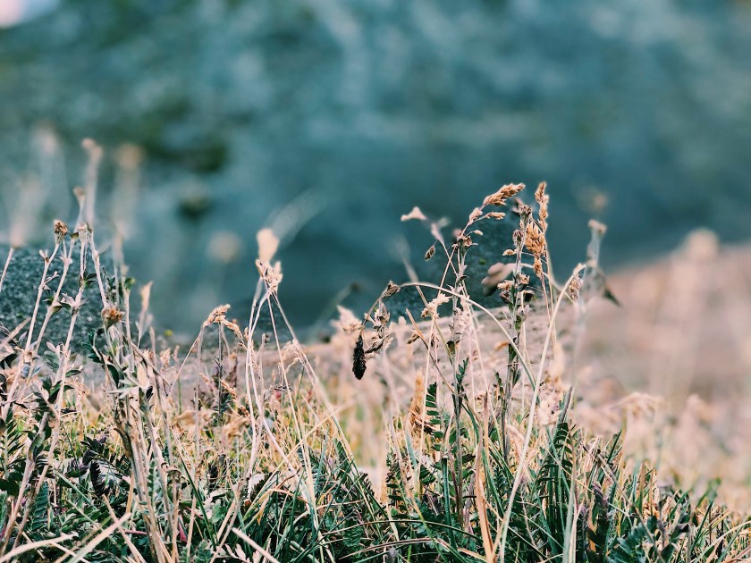 Processed with VSCO with c1 preset