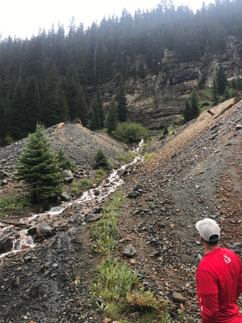 1764A49D-CFD5-49EF-AA0D-2D99CD899DE0