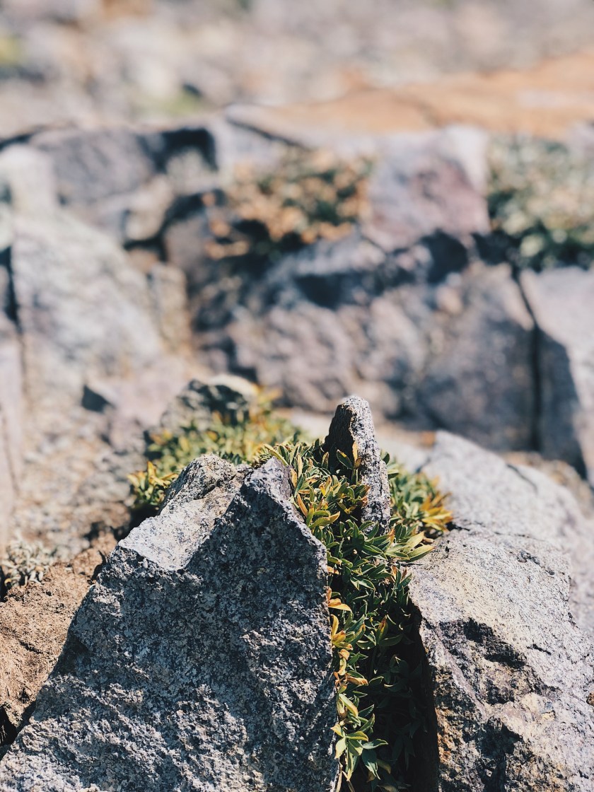 Processed with VSCO with hb2 preset