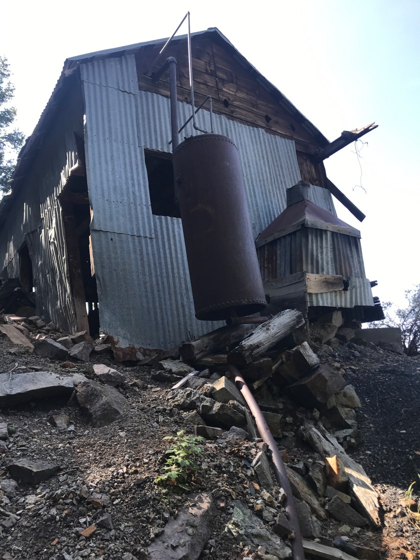 17C64F87-881B-4668-BB9F-8C77DA4D1113