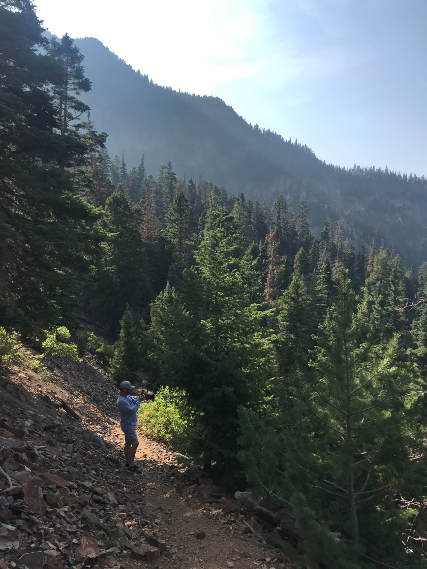 192C68DD-A570-4969-8B88-0FC621961E97