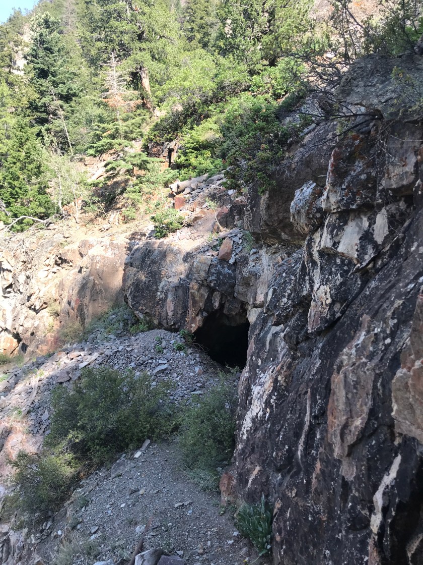 1F1E66C2-7252-4185-BC5A-3AEA3C9838D7