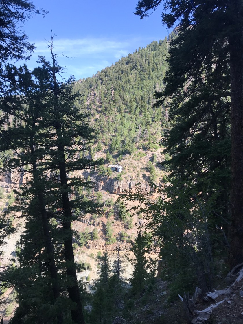 219B7717-B817-4804-93E4-F3C4346D077D