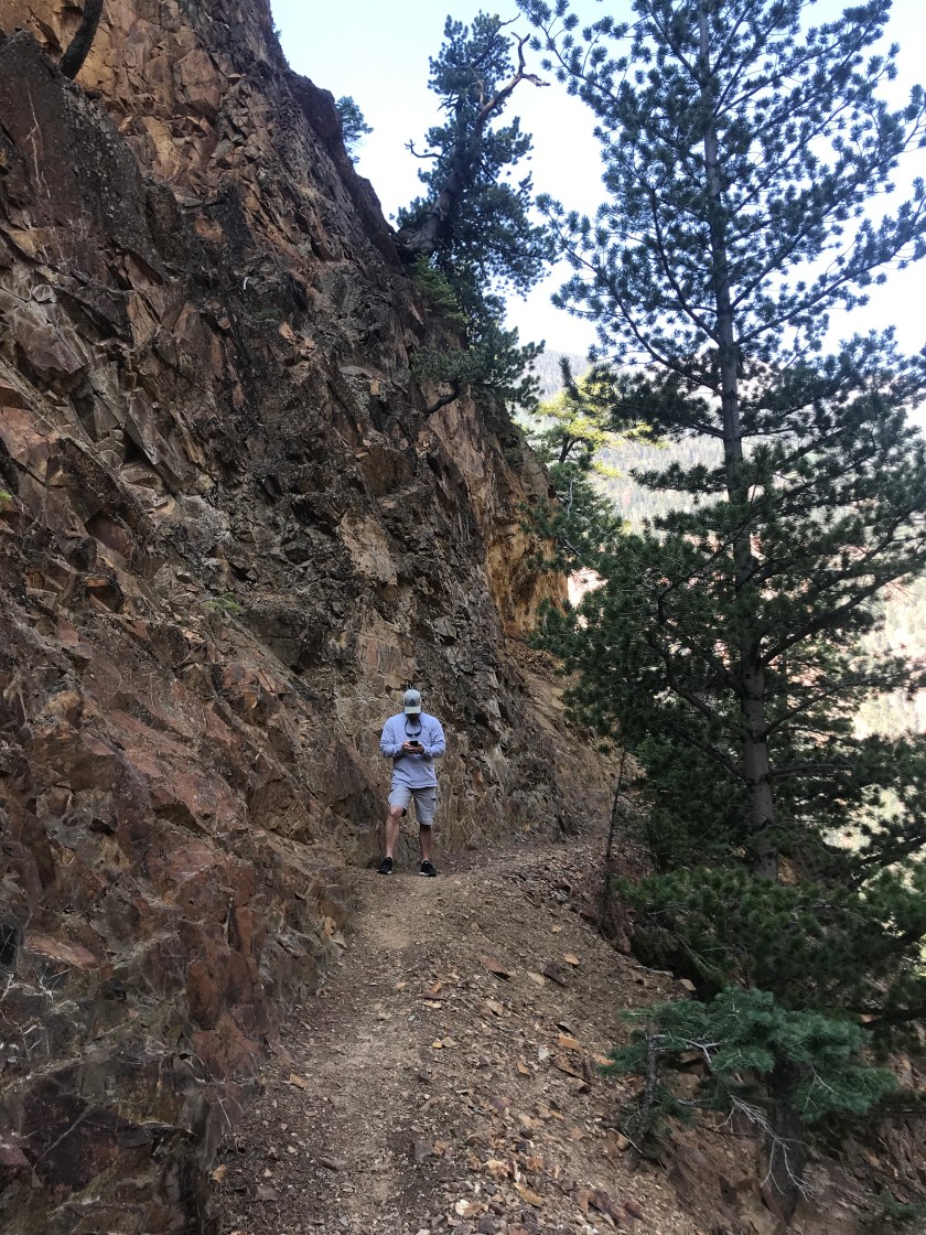 2781C8C6-ED16-481E-BA79-1595C814FC8E