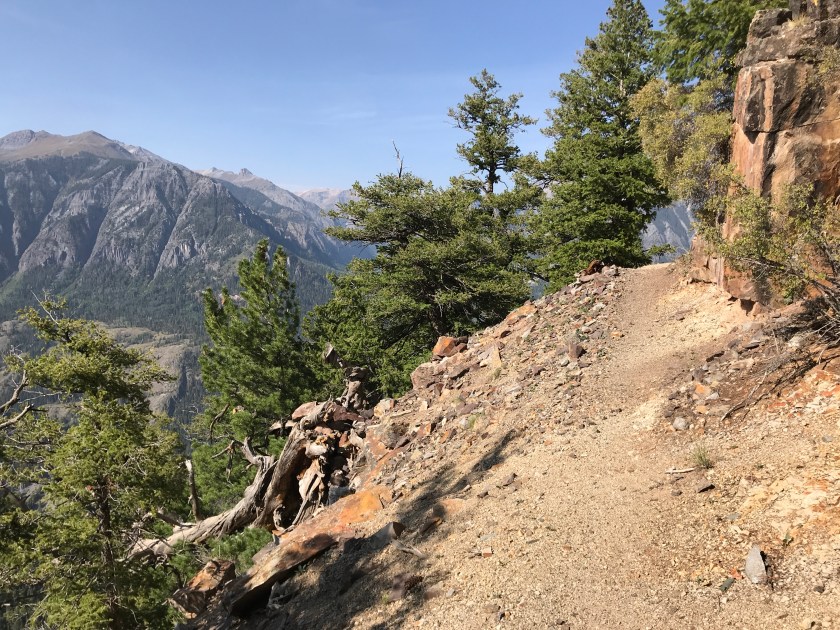 2D5612D5-7BB9-412A-8BB0-75A4ED8355A1