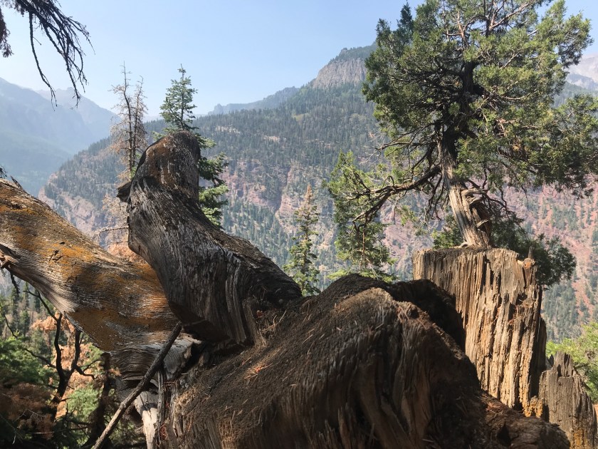 34D5C1E7-B23F-4EB7-AAE2-933C4551F779