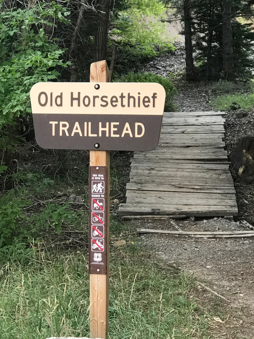 3A58EF31-4DED-45A5-864F-D85DB027B8C3