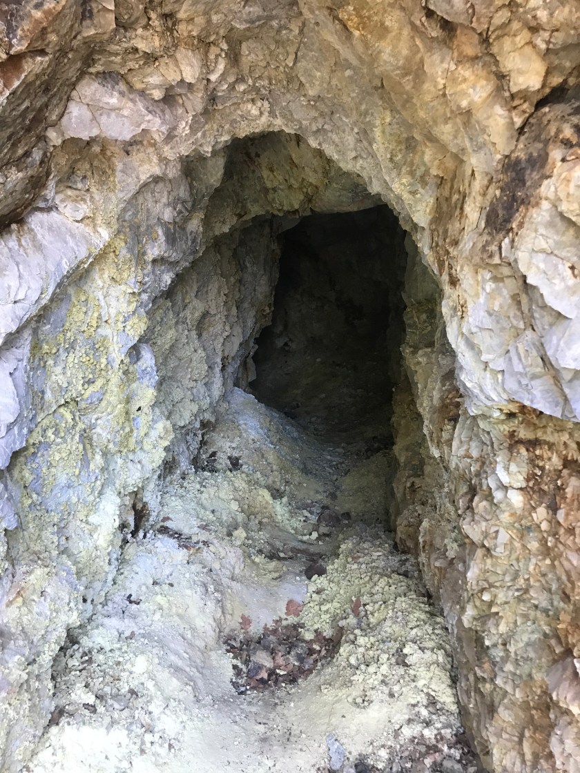 3AD62CA4-4558-4D87-A606-417598655D5E