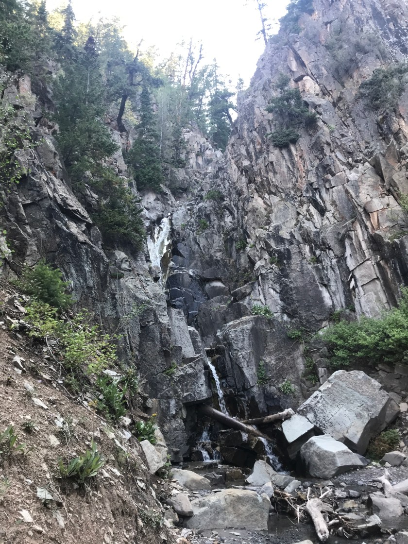 495D8B2C-DB97-435F-A9C0-F4CAB32B718B