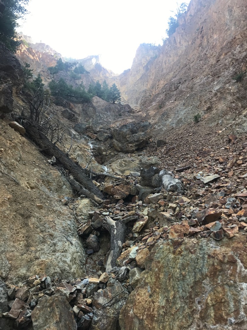 4DB6D046-7CFF-4CD1-8D72-ACB0FF776521