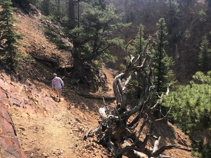 50300F9A-6B23-443F-86AA-46CA363EDFFA