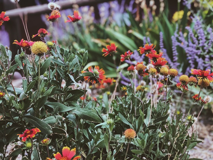 Processed with VSCO with m3 preset