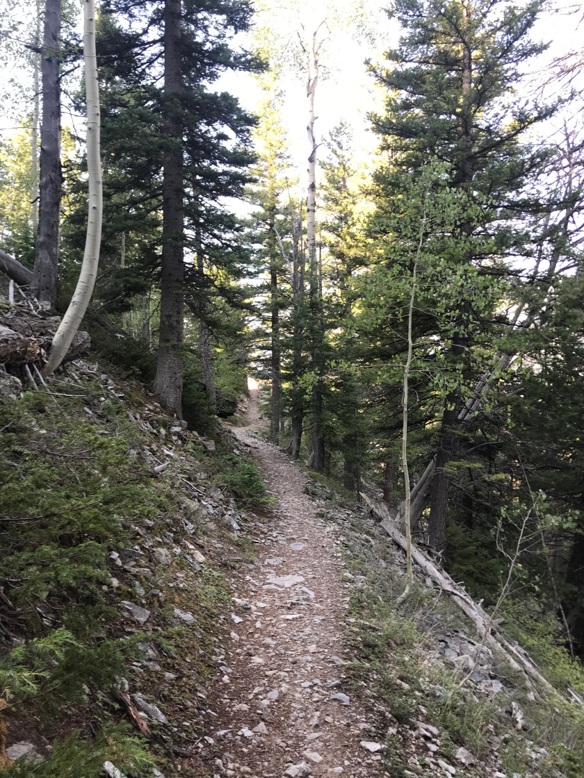 533F3673-99A9-4C85-8C78-041C7483437C