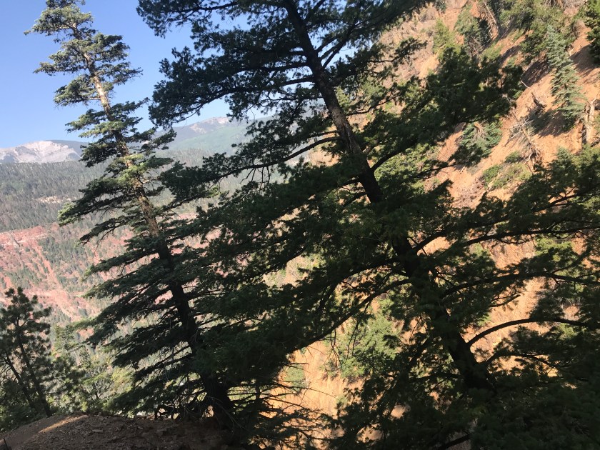 59D98E07-9235-4CBB-A372-96508F51A946