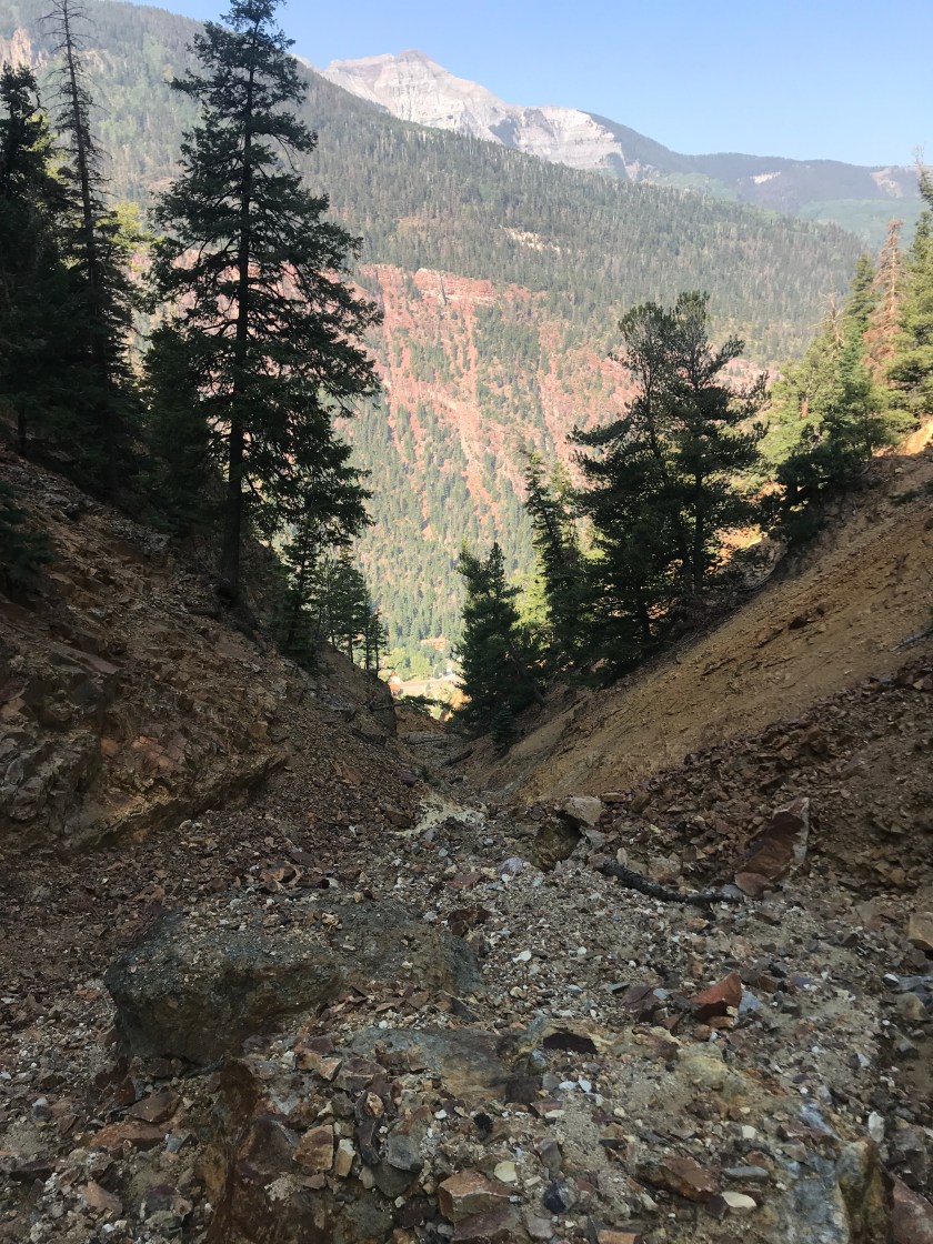 5D334519-D37C-4B7B-A604-08C4333EFB6B