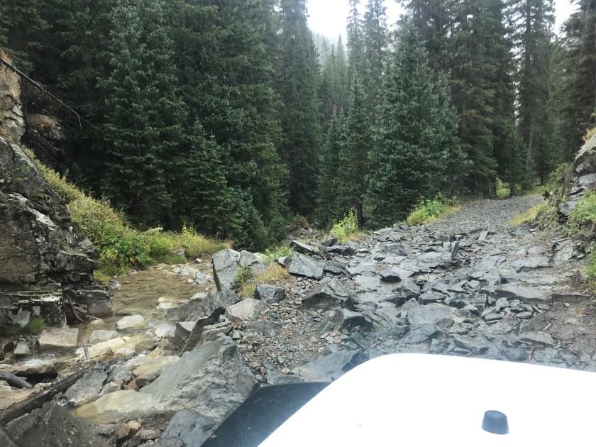 5D346082-CC26-433B-9B3E-582201981FA1