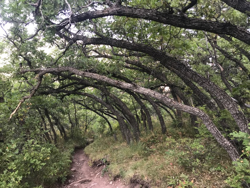 5F45CA85-0213-43FE-B76D-0A8B756C3A17