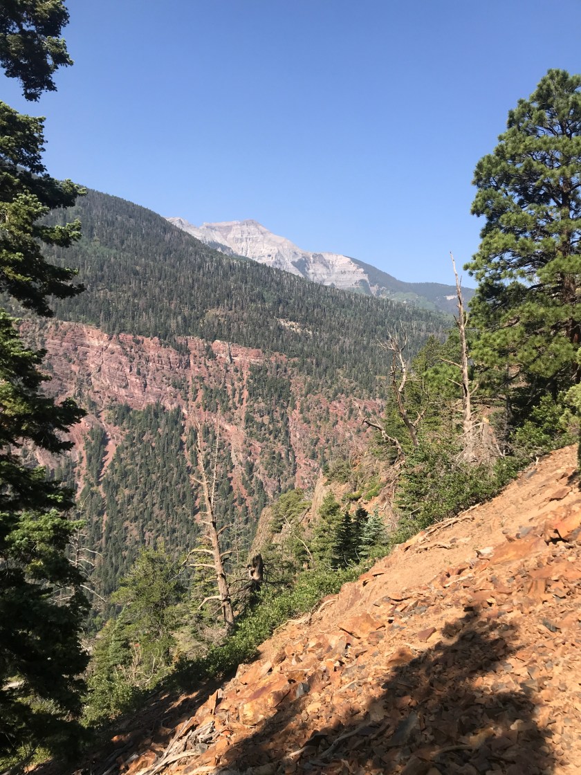 62A14201-BFBE-4564-B24A-2C02E41E24BB