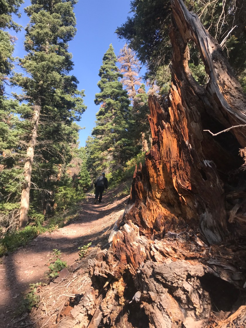 671EF1DE-8F99-4250-A995-810B2C49EC1C