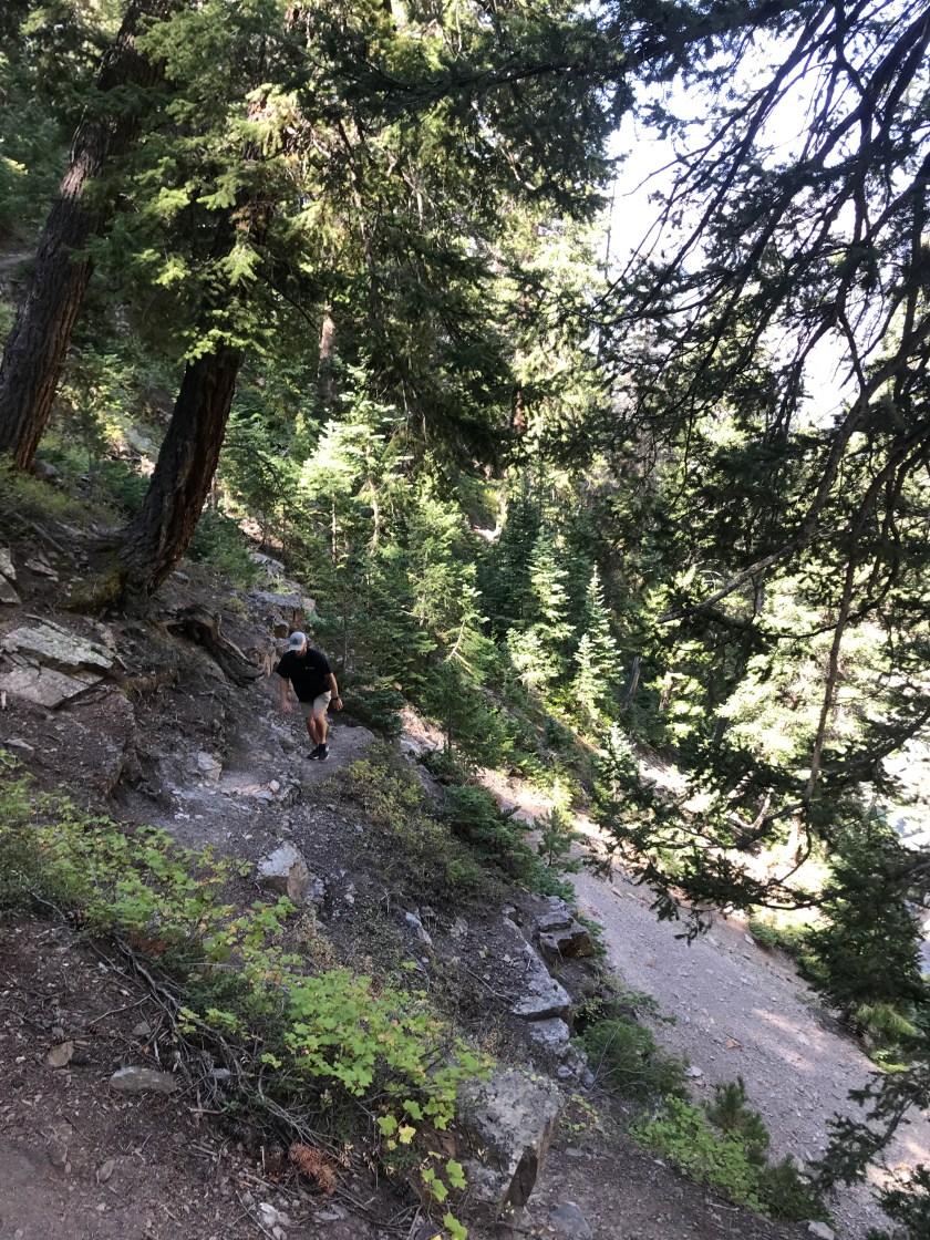 6E3A9869-3C41-41BD-9BC4-2EEE9AC8E4EA