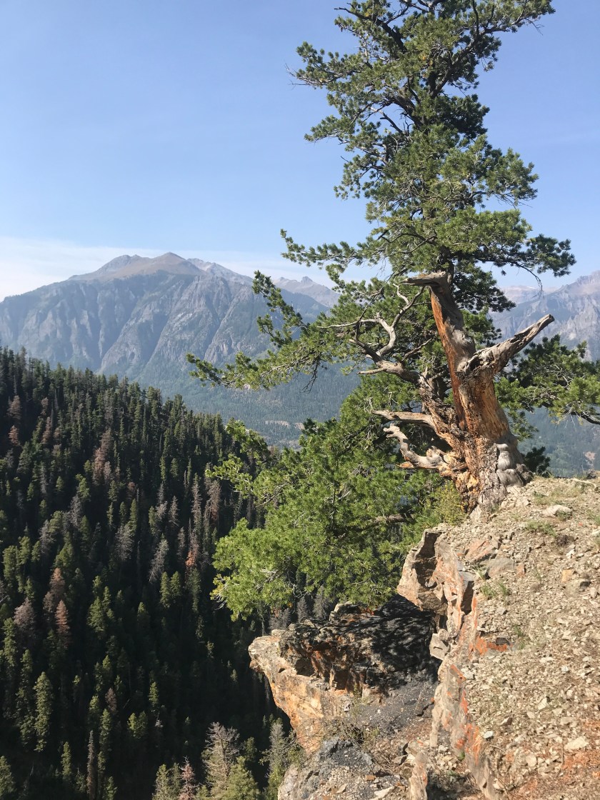 724A47E0-ECBD-4225-BB22-C0F7F9AA408C