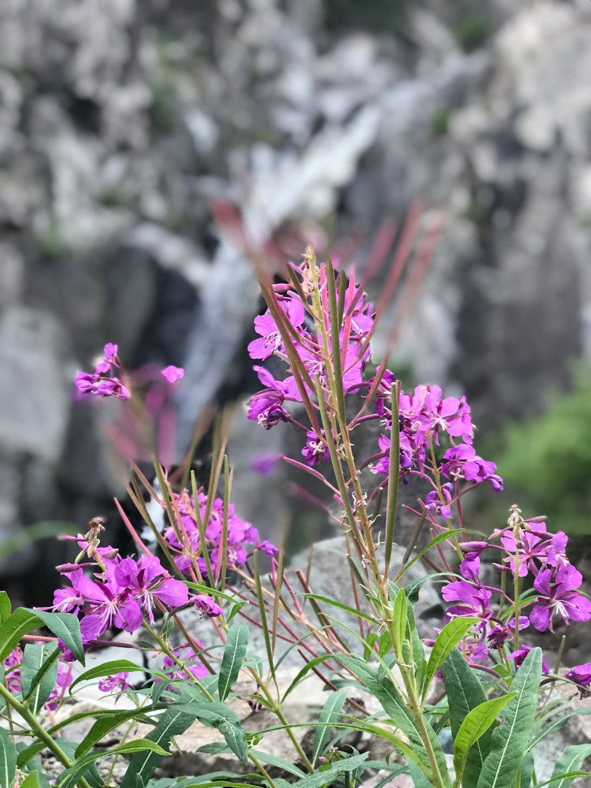 772C1830-0289-4E3F-B551-50BD01142E59