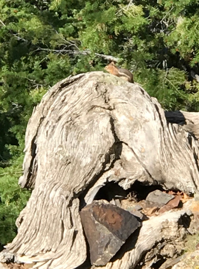 7B070E34-E973-4682-8EBC-A3F9FAAF43F4