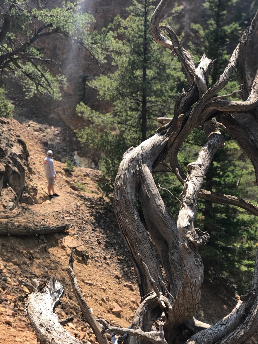 7F2B802F-EE8C-4CC9-A2AB-1EA050A3F3C6