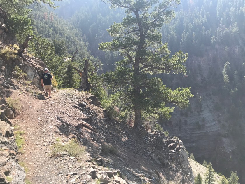 7FC7AA5E-1109-445E-8338-6BB02DA43316