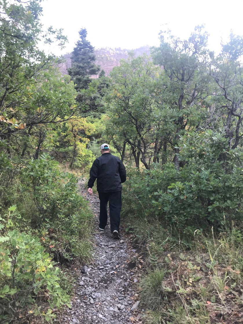 8406F93E-5034-48EC-A8CB-8EA2CB109968