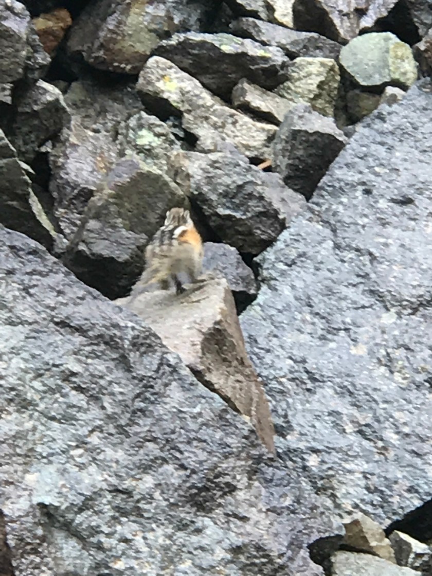 8A84BA5E-D694-4D42-A719-E41B95C414B9