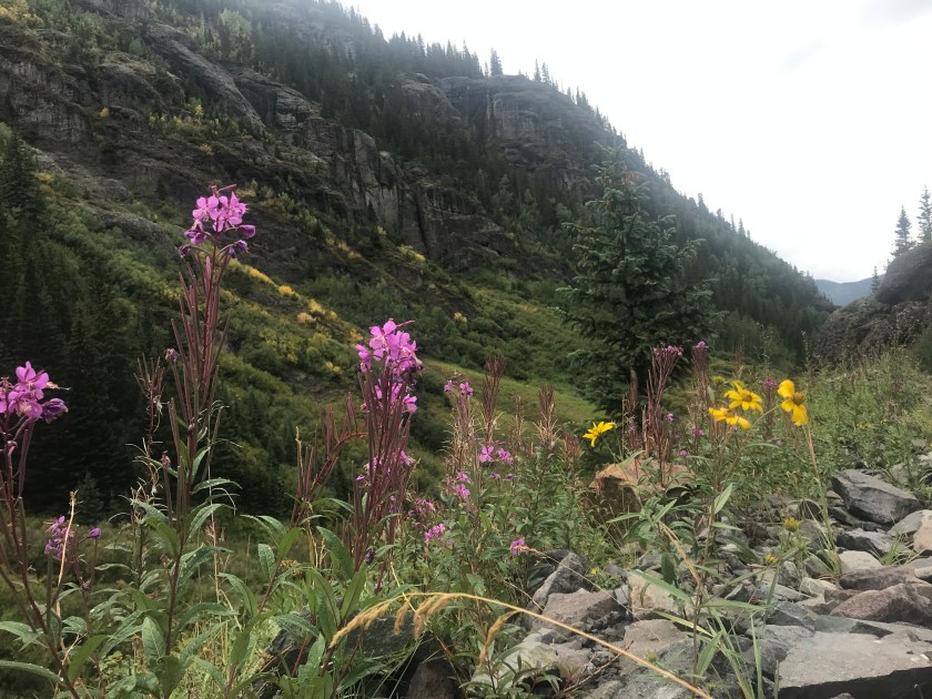 9A33AF68-3EF5-435A-884D-8AC4C5AFF84B