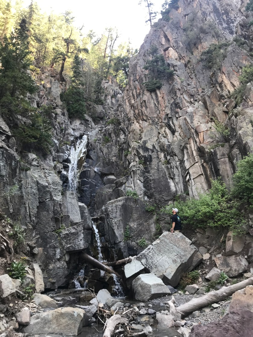 A1F007C7-2EF1-4605-A97A-8B9AD0C3FCDD