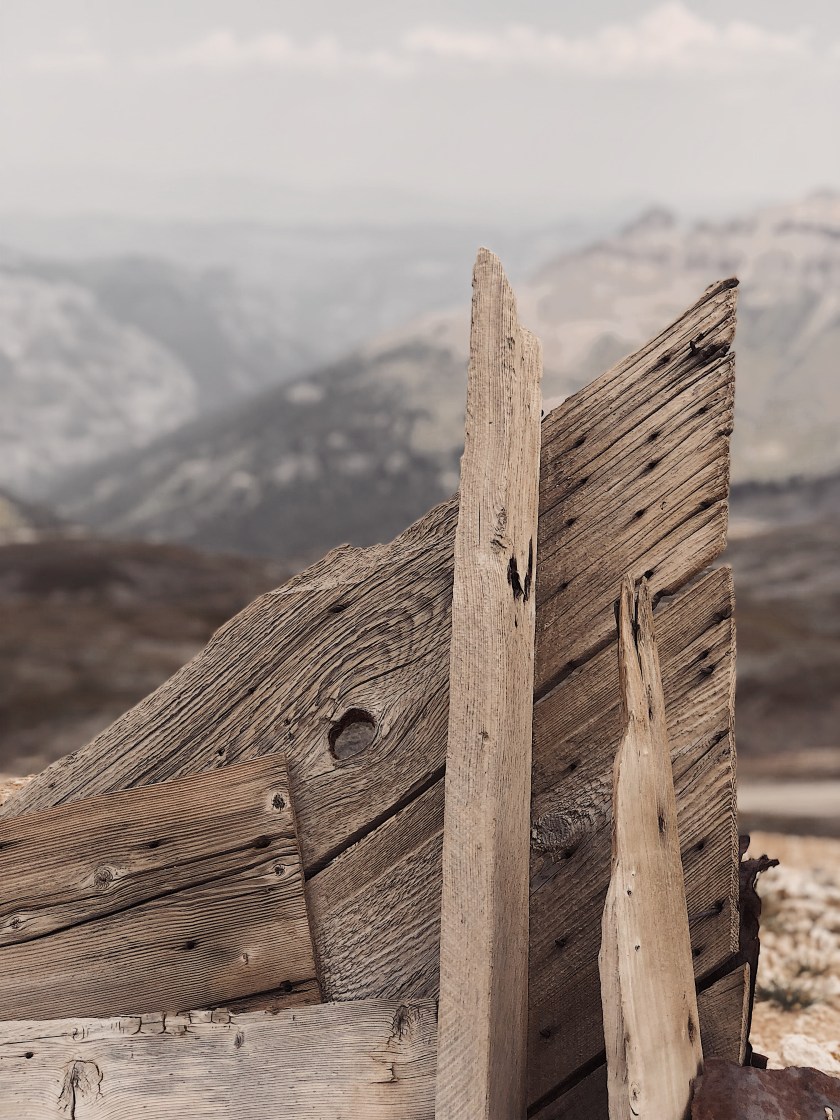 Processed with VSCO with dog1 preset