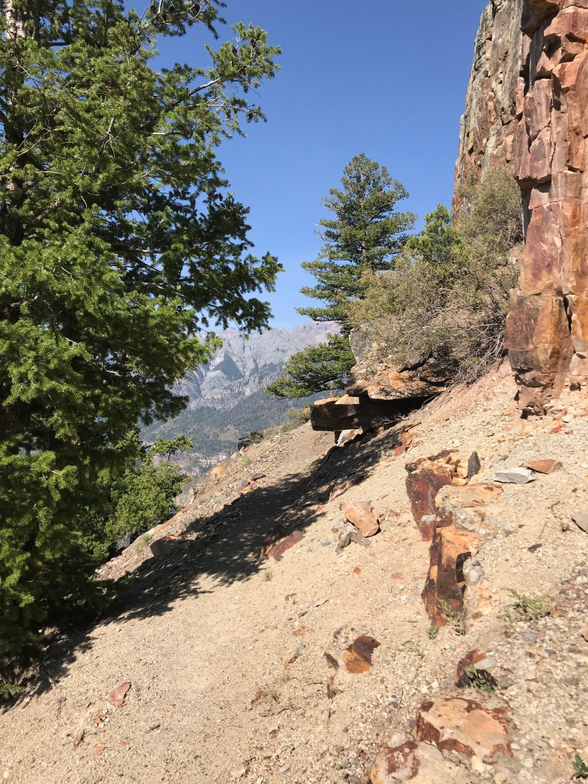 B8F1A332-8589-49C0-8314-19DE4DC4295D